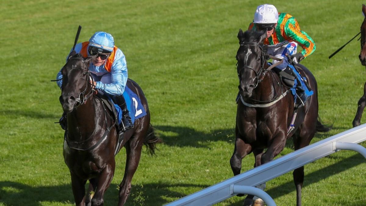Horse racing at Carlisle